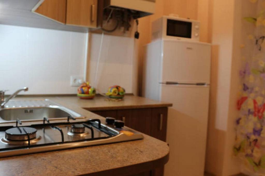 Horodotska 60 Apartment Lviv Luaran gambar